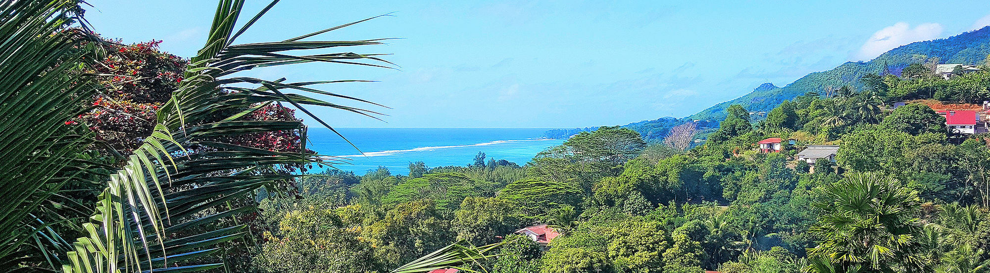 Maison Oasis Reef Estate Anse aux Pins Esterno foto